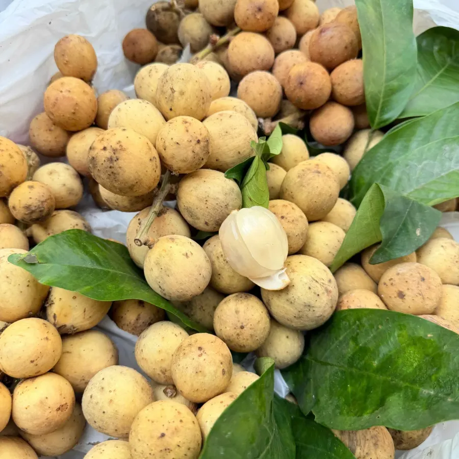 Bòn bon Thái, một quả bóc vỏ để lộ thịt