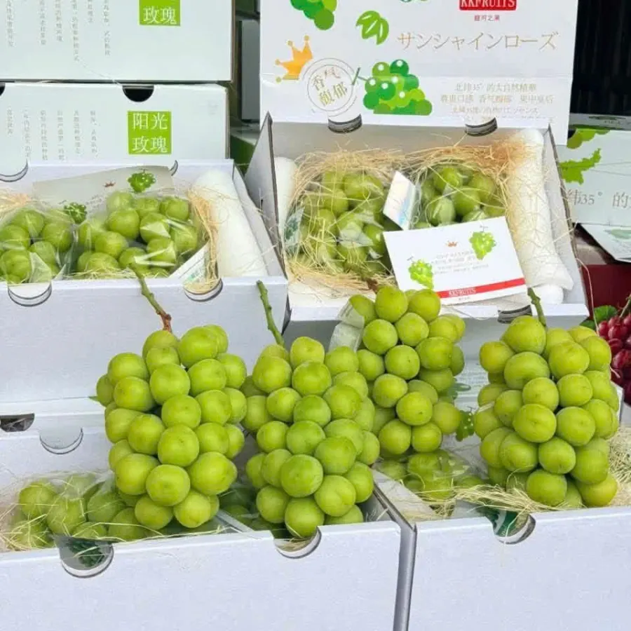 Nho sữa Nhật xếp trong hộp giấy
