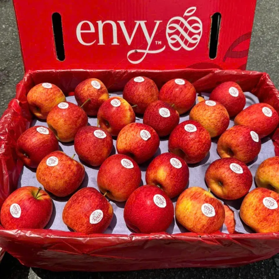 Táo Envy xếp trong thùng đỏ có chữ envy
